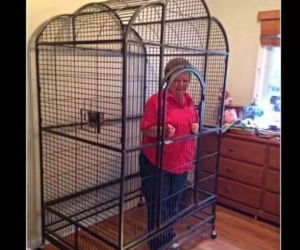 Tych memów o teściowych nie pokażesz mamie! Internauci nie mają litości