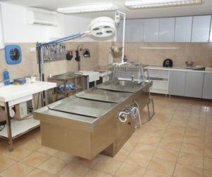 prosektorium szpital