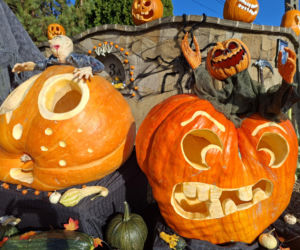Oto najbardziej halloweenowy dom w Świętokrzyskiem [ZDJĘCIA]