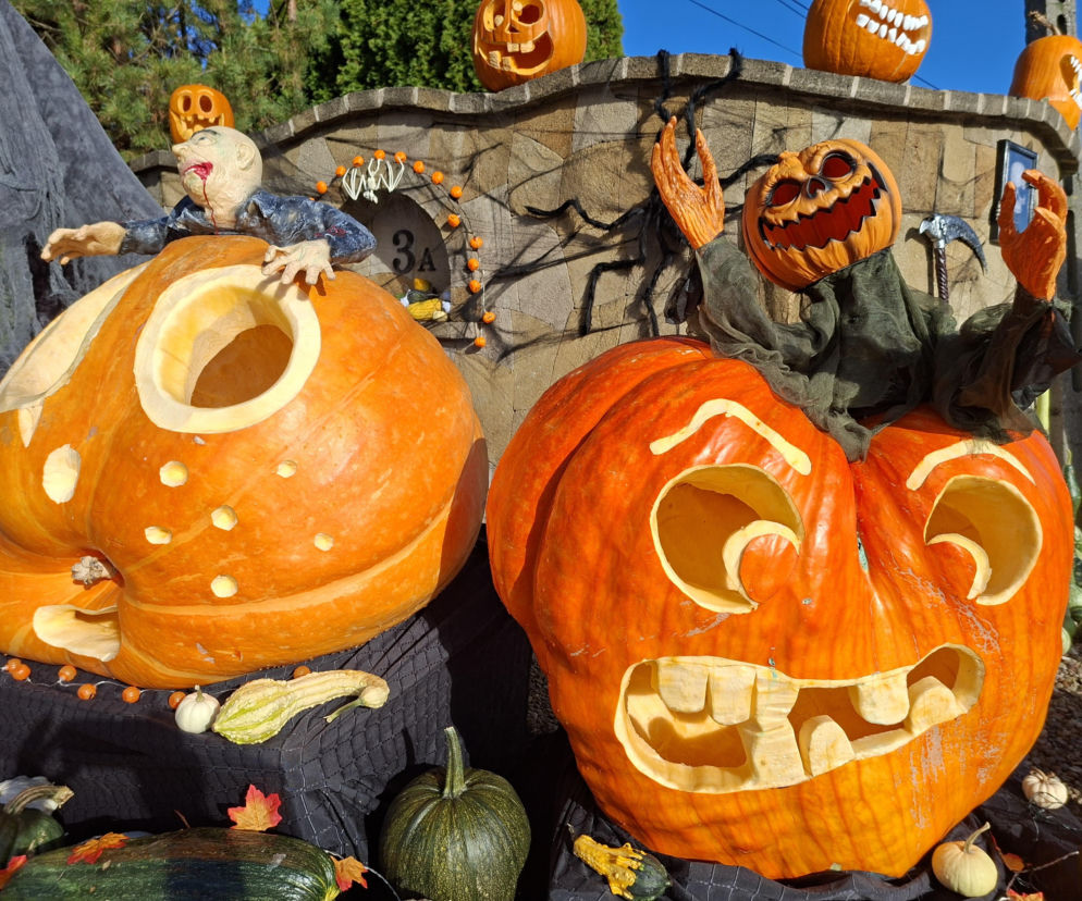 Oto najbardziej halloweenowy dom w Świętokrzyskiem [ZDJĘCIA]