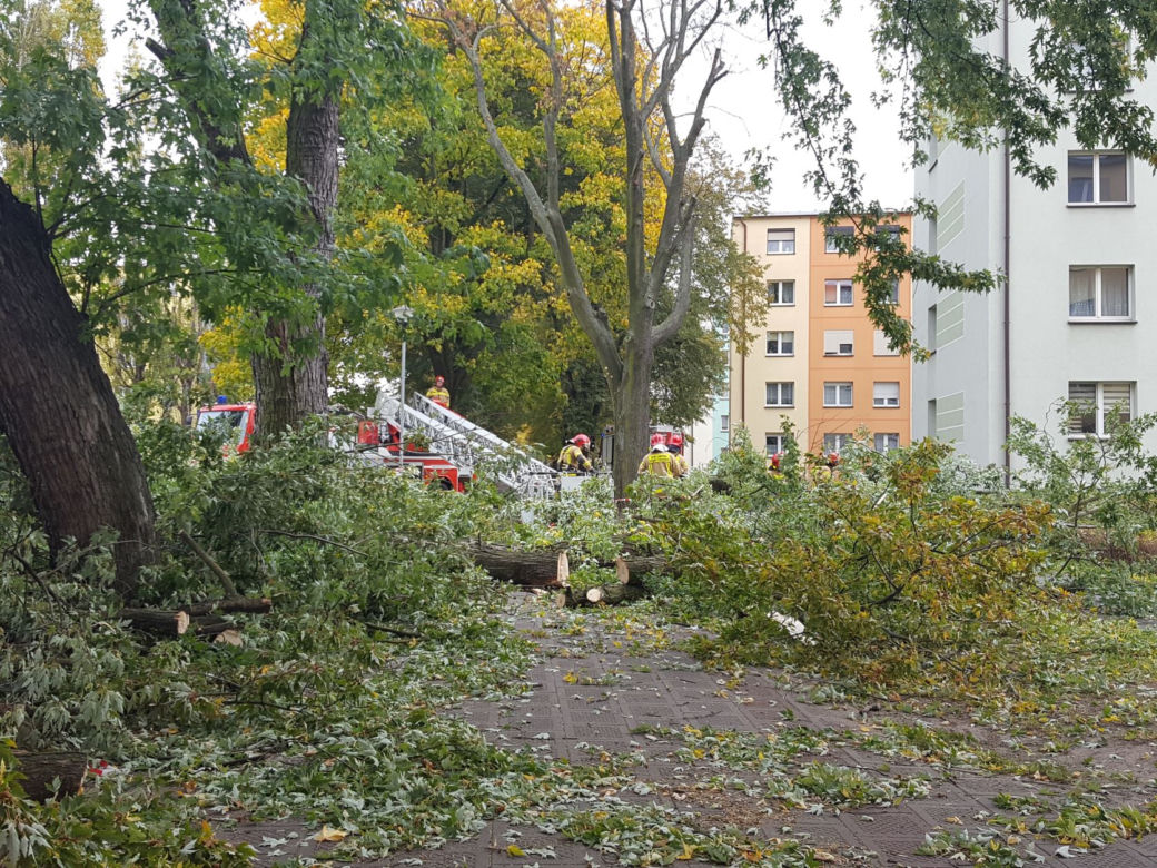 Strażacy (i piły) na pełnych obrotach