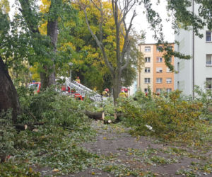 Strażacy (i piły) na pełnych obrotach