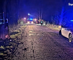 Mikołów. 20-latek roztrzaskał się fiatem na drzewie [ZDJĘCIA]