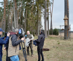 Nowe domki dla pszczół. W Leśnictwie Mendryny zawisły dwie barcie [ZDJĘCIA]