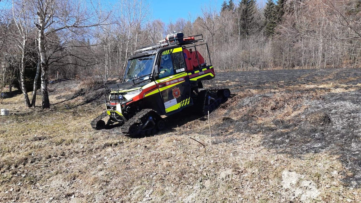 77-latka chciała uporządkować działkę, a zginęła w potwornych męczarniach. Tragedia pod Limanową