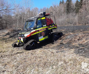 77-latka chciała uporządkować działkę, a zginęła w potwornych męczarniach. Tragedia pod Limanową
