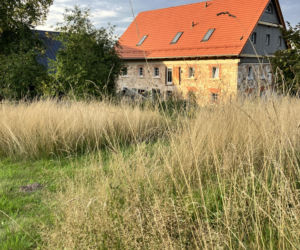 Gospodarstwo w Kleczy Dwie Brzozy