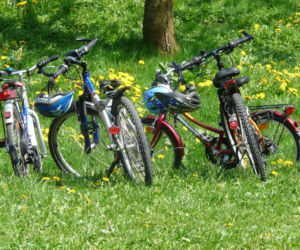 TOP 5 warszawskich tras rowerowych