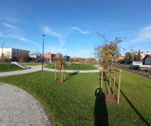 Park Gronowo otwarty 