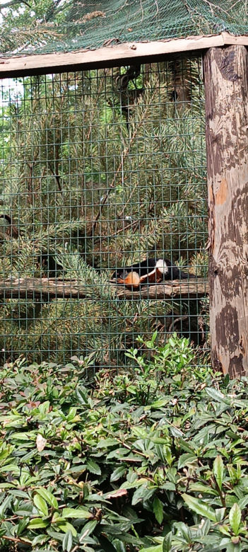 Zwierzęta w zoo we Wrocławiu