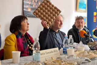 Maszkarada - Tarnowski Karnawał