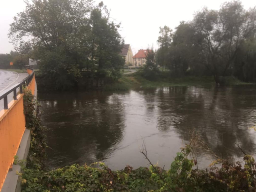 Opole: Fala wezbraniowa na Odrze. Podtopienia w Czarnowąsach, Wróblinie i Opolu