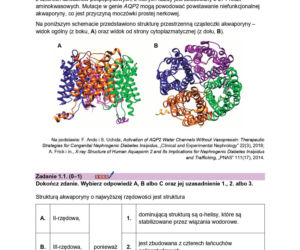 Próbna matura 2026 biologia. WSZYSTKIE arkusze CKE i odpowiedzi 14.01.