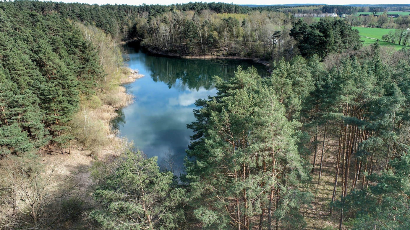 Jezioro Buczyna między Międzyrzeczem, a Zieloną Górą