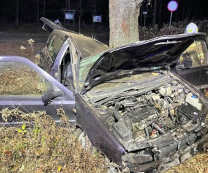 Pijany kierowca rozbił się na drzewie