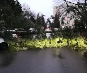 Dudley sieje zniszczenie w Warszawie. Powyrywane drzewa runęły na auta