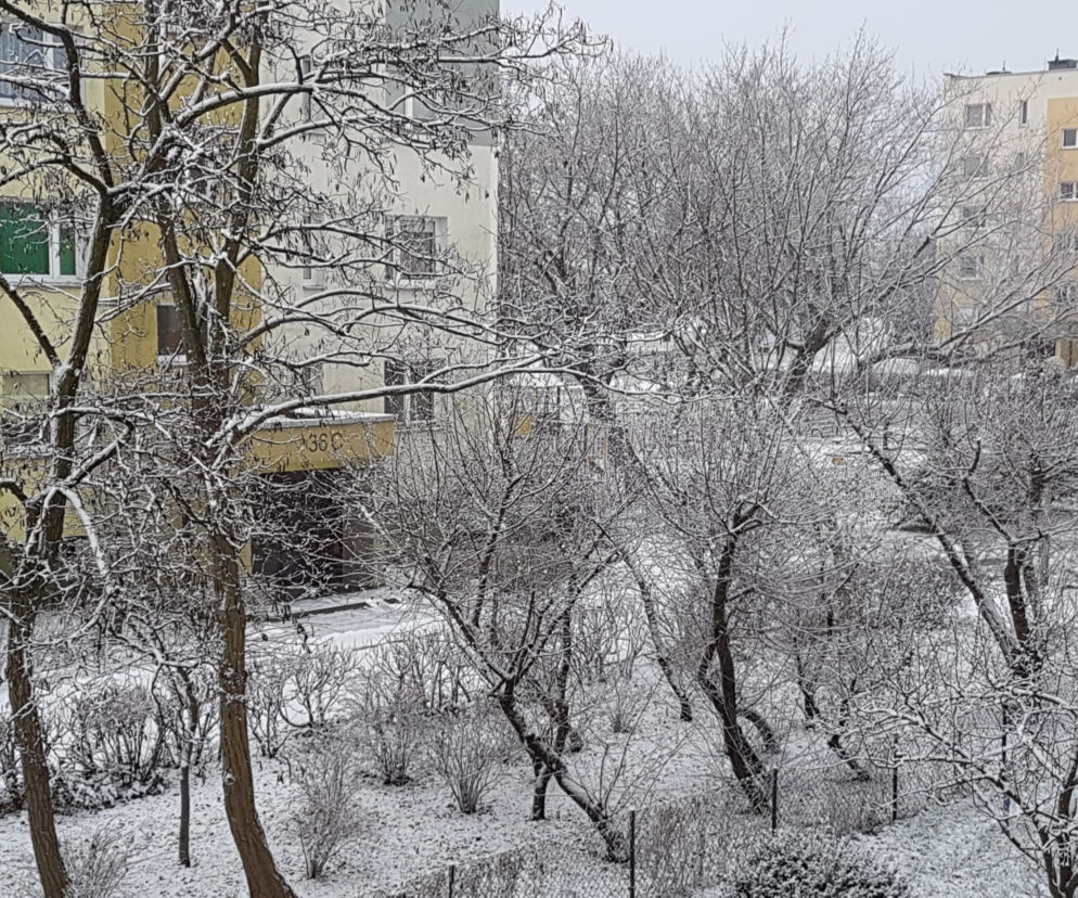 Zima w Toruniu