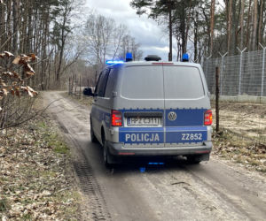 Drzewo runęło na mężczyznę w Emowie. Zginął na miejscu
