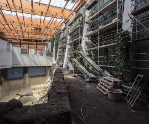 Afrykarium we Wrocławiu. Zielone ściany