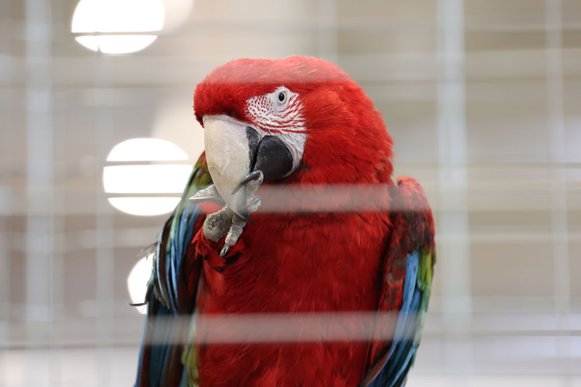 ZooPark 2023 w Lublinie przyciągnął tłumy!