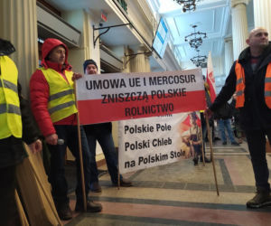 Protest rolników w Rzeszowie. „Będziemy tracić z roku na rok”  