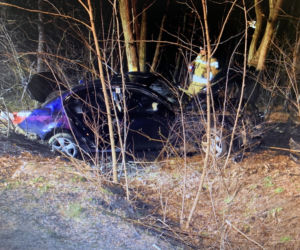 Półsieraków. W wypadku BMW zginęło dwóch pasażerów [GALERIA]