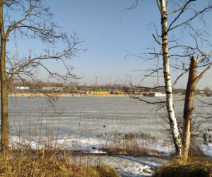 Mimo dodatnich temperatur spacerują po lodzie. Sprawa dzieli mieszkańców Białołęki