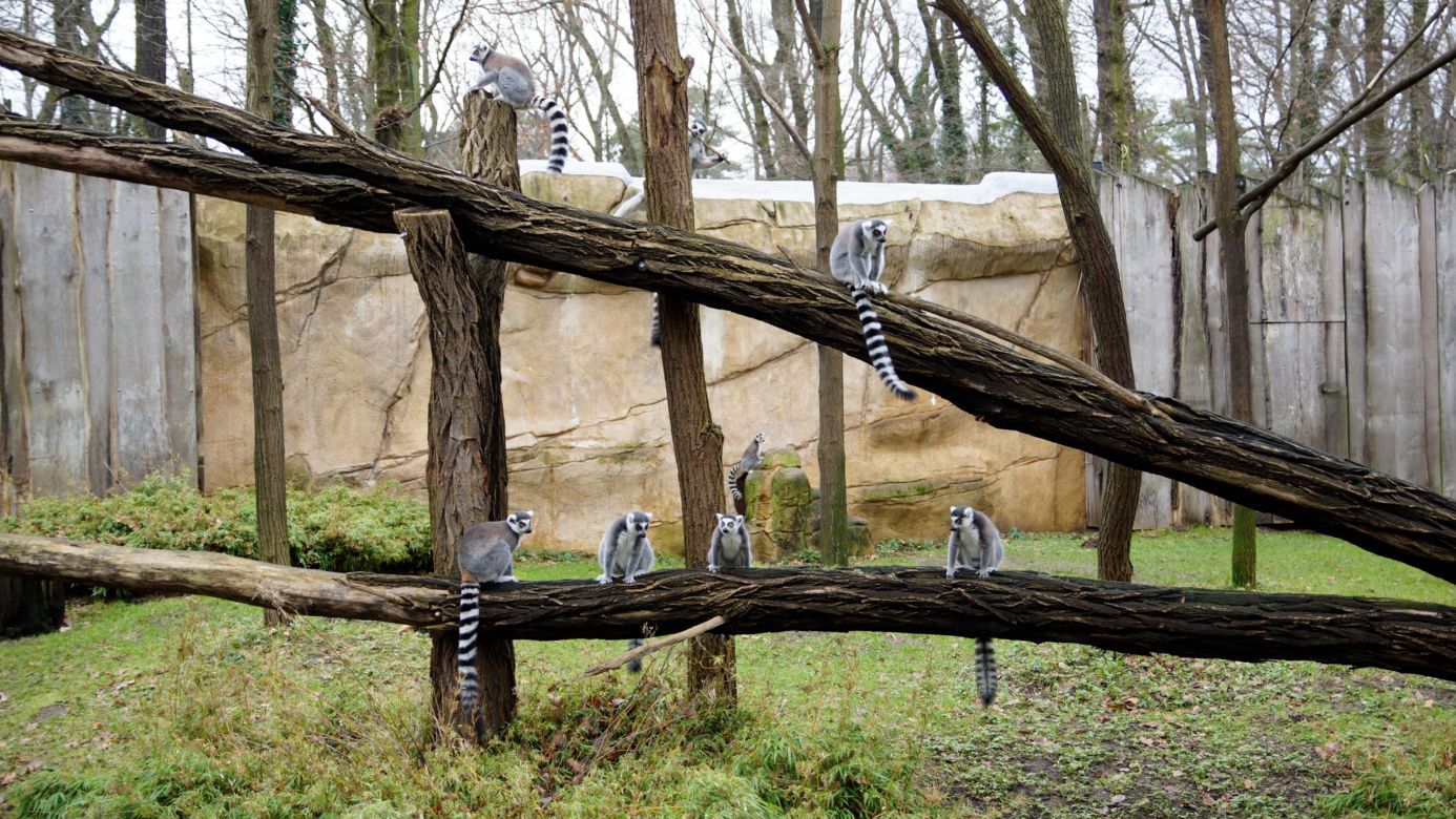 Tierpark Cottbus