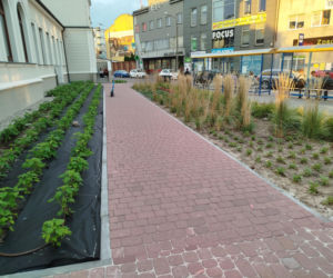 Park kieszonkowy, Siedlce, sala Podlasie