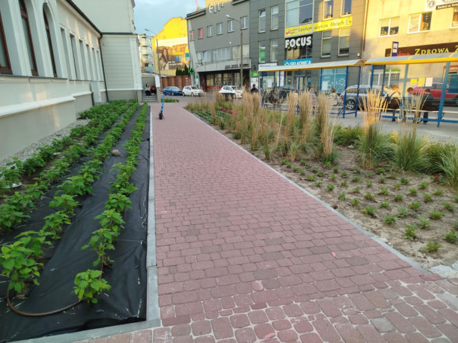 Park kieszonkowy, Siedlce, sala Podlasie