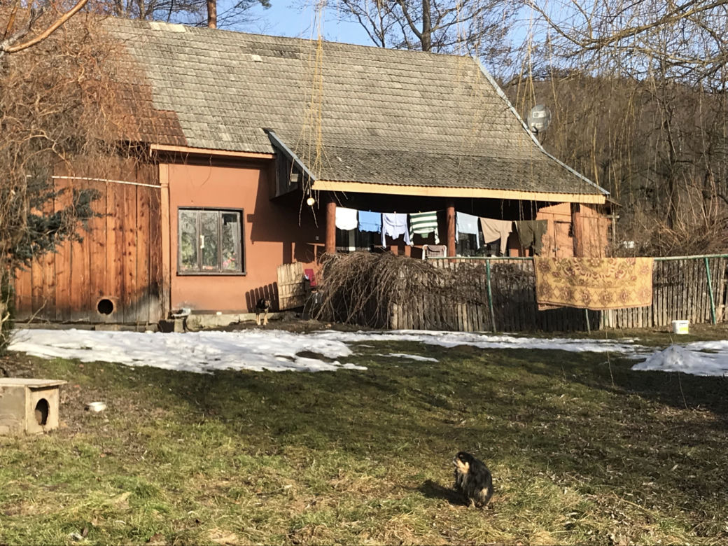 Strzelił żonie w głowę i zabił się w stodole