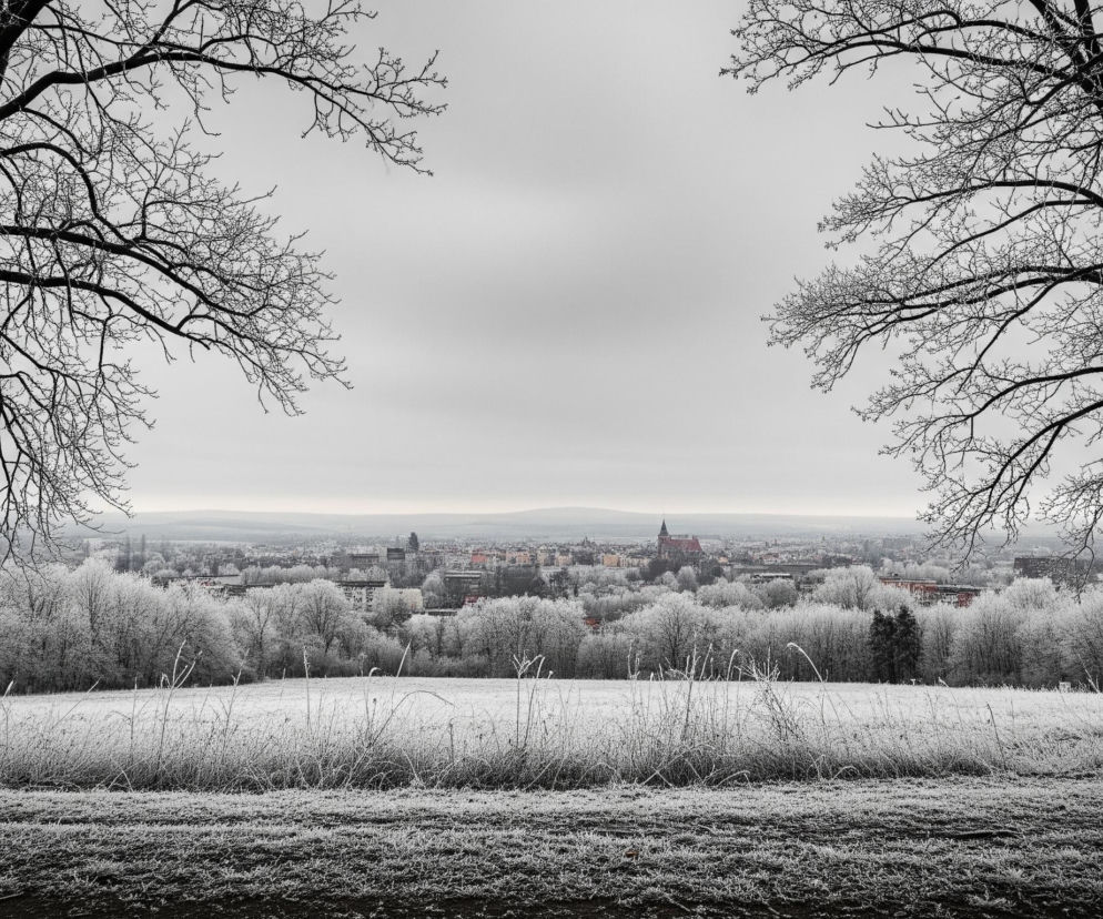 Dwa bezlistne drzewa z ciemnymi pniami i gałęziami, pokrytymi szronem, stoją po bokach kadru, tworząc naturalne obramowanie. Pośrodku rozciąga się białe pole pokryte śniegiem i szronem, z widocznymi suchymi trawami. Dalej, za polem, znajduje się pas drzew i krzewów gęsto pokrytych białym szronem, tworzącym jednolitą, jasną powierzchnię. W tle rysuje się panorama miasta z licznymi budynkami i wyraźną wieżą kościoła o spiczastym dachu, a nad wszystkim wisi szare, zachmurzone niebo.