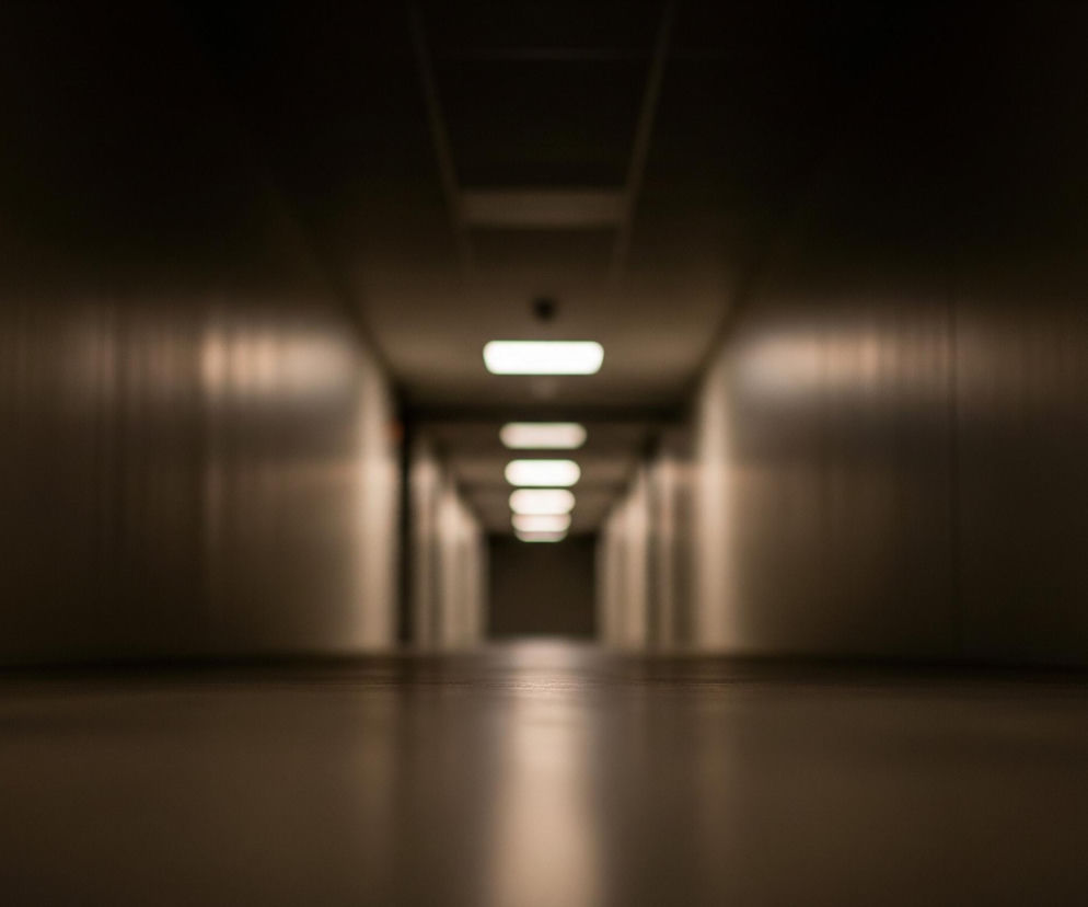 Długi, ciemny korytarz rozciąga się w głąb obrazu, zbiegając się w odległym punkcie. Sufit oświetlają prostokątne lampy, tworzące ciąg jasnych, rozmytych świateł w centralnej części. Ściany i podłoga mają ciemnobrązowy, niemal grafitowy odcień, a odbicia świateł widoczne są na gładkiej powierzchni podłogi.