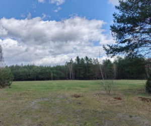 Placówka „Pierzyna”. Jak konspiratorzy przygotowywali się na przyjęcie Cichociemnych