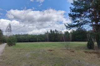 Placówka „Pierzyna”. Jak konspiratorzy przygotowywali się na przyjęcie Cichociemnych