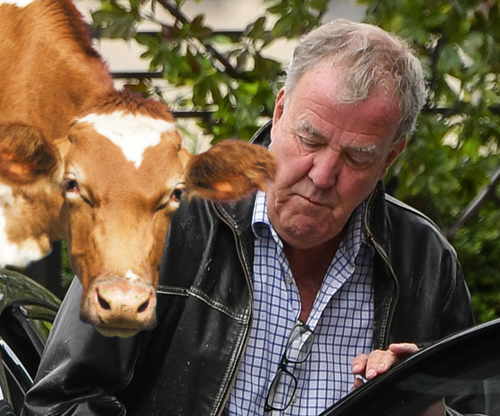 Jeremy Clarkson i krowa