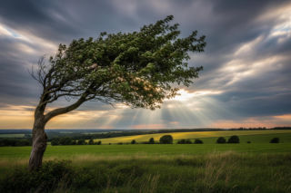 Pogoda na weekend w Szczecinie 24-26 kwietnia. Po ciepłym piątku nadejdzie ochłodzenie i silny wiatr