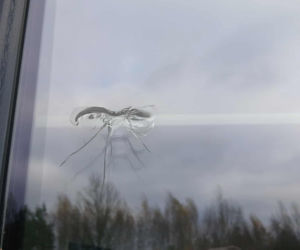 Policja prowadzi postępowanie, a rodzice i dyrekcja placówki nie kryją niepokoju