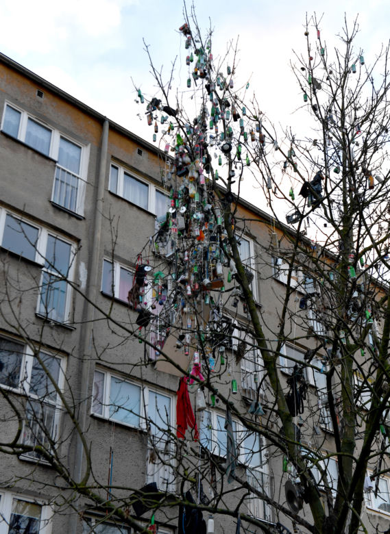 Szczecin: Drzewo śmietnik