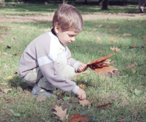Chłopiec zbiera liście (1996 r.)