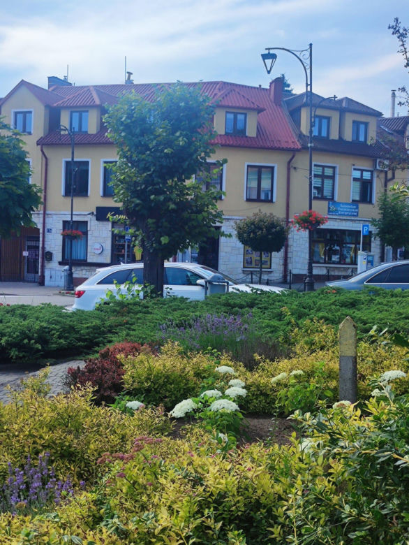 Zielony Rynek w Pińczowie