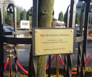 Dąb dla Wolności Białorusi 