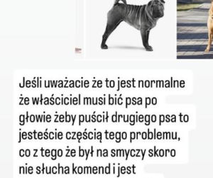 Uwaga! Partnerka Bieniuka walczyła z agresywnym psem! Przerażające zdjęcia