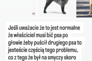 Uwaga! Partnerka Bieniuka walczyła z agresywnym psem! Przerażające zdjęcia