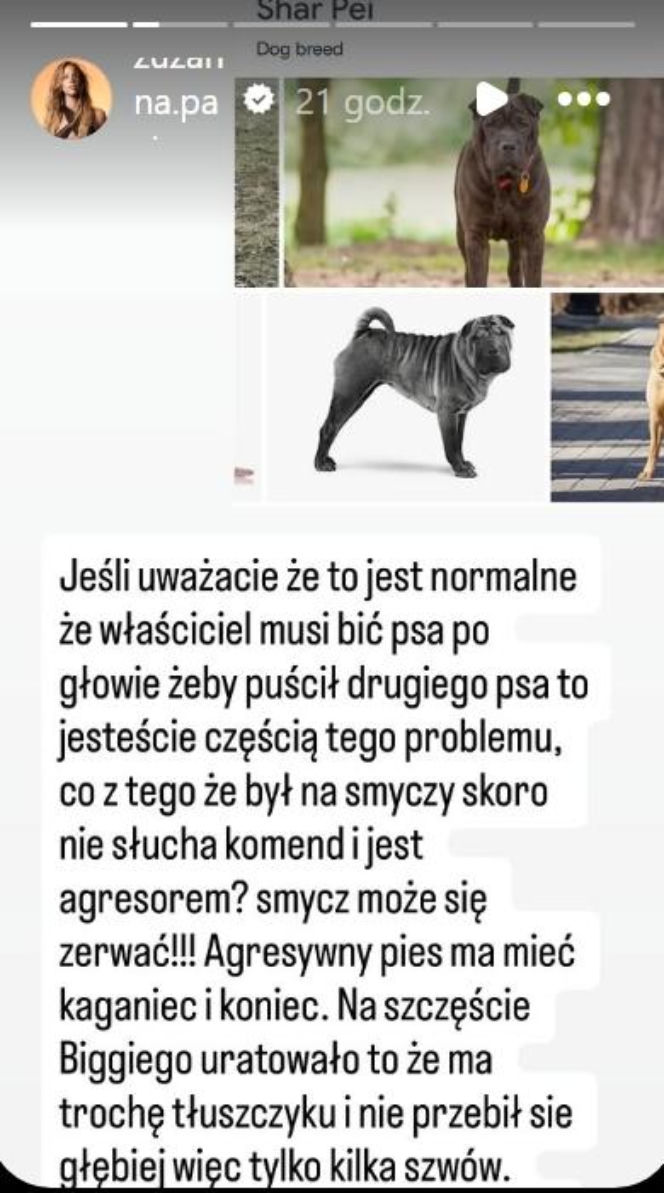 Uwaga! Partnerka Bieniuka walczyła z agresywnym psem! Przerażające zdjęcia