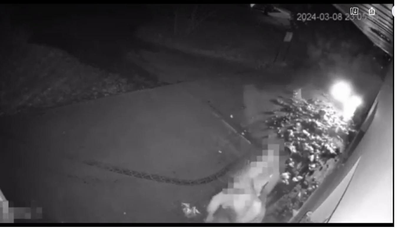29-latek próbował zabić pięć osób! Nagranie mrozi krew w żyłach