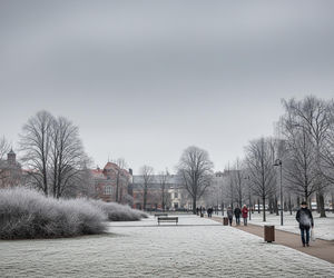 Pogoda w Brzegu 19.11.2025. Co czeka mieszkańców?