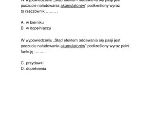 Egzamin ósmoklasisty 2020 - arkusz egzaminacyjny z jęz. polskiego