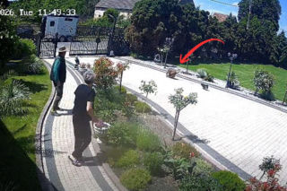 Dramatyczne nagranie niesie się po sieci. Agresywny pies porwał chihuahuę!