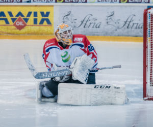 KH Energa Toruń - Zagłębie Sosnowiec 3:2 - zdjęcia z meczu i trybun